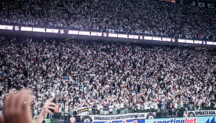 53616267938_a7183970f1_o-700x441.jpg