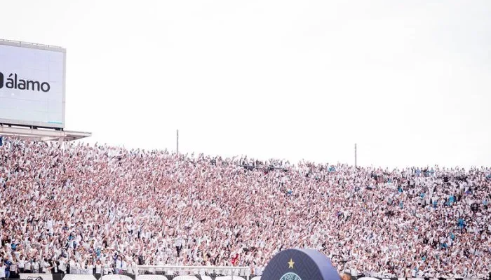 55275193407_85187b6db3_c-700x441.webp.webp