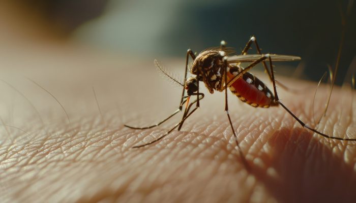 DENGUE-MOSQUITO-FREEPIK.jpg