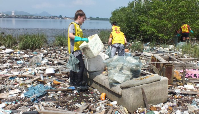 EcoFaxina-abre-inscricoes-para-formacao-em-voluntariado-em-Santos-2-scaled.jpg