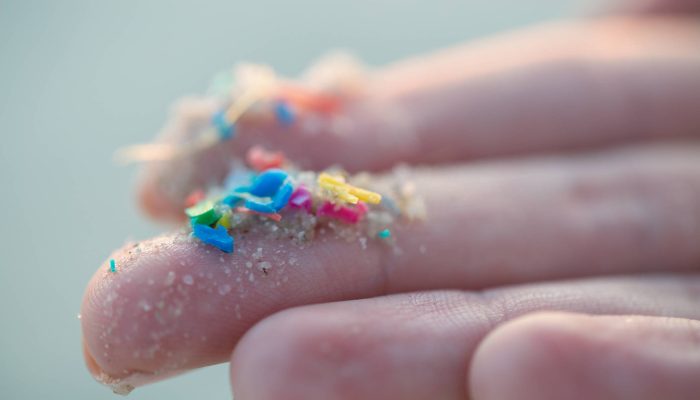 Santos-exporta-mais-microplasticos-ao-oceano-do-que-retem-em-suas-praias-e-canais.jpg