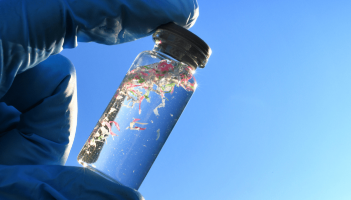 Santos-recebe-simposio-internacional-para-discutir-microplasticos.png