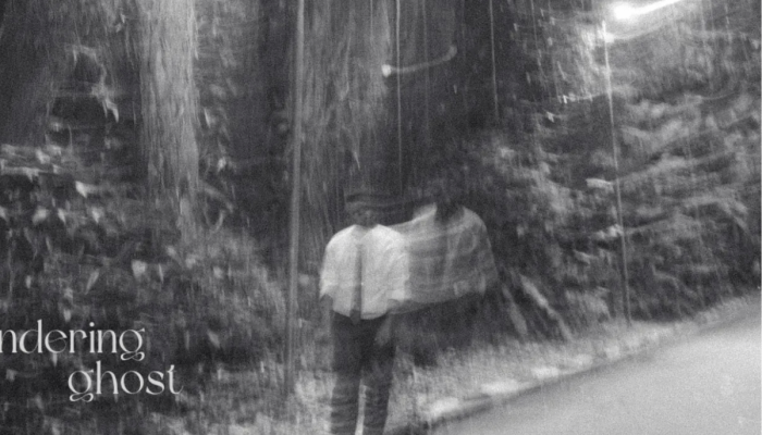Wandering-Ghost-1.png