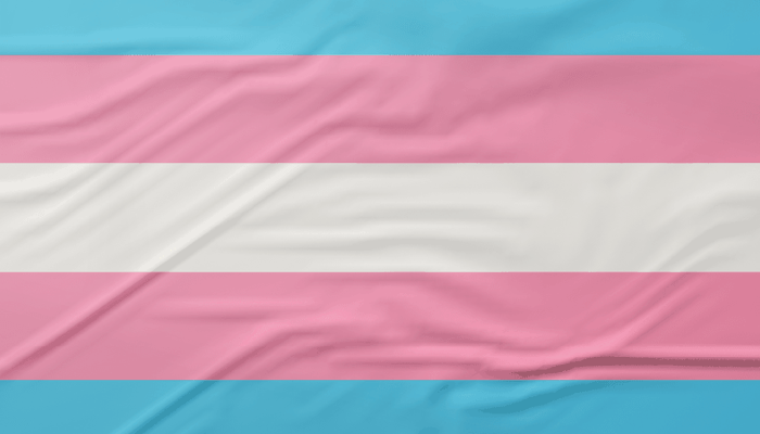 bandeira_trans.png