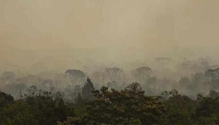 incendio-parque-nacionall_mcamgo_abr_16092024-9.jpg