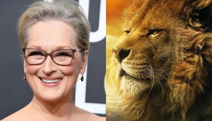meryl-streep-pode-interpretar-aslam-em-adaptacao-de-as-cronicas-de-narnia-na-netflix_widelg.jpg