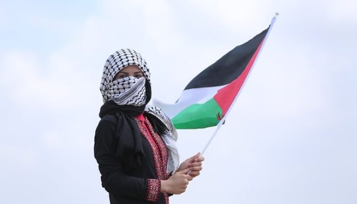 palestinian-woman-7412494_640.jpg