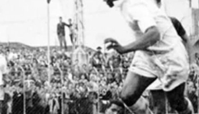 pele.jpg