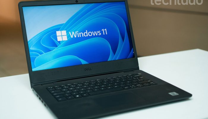 tt-windows-02.jpg